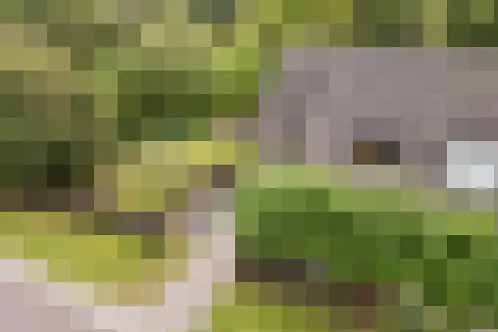 Sânbuorren 12 Oudega thumbnail 80
