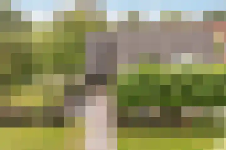 Sânbuorren 12 Oudega thumbnail 81