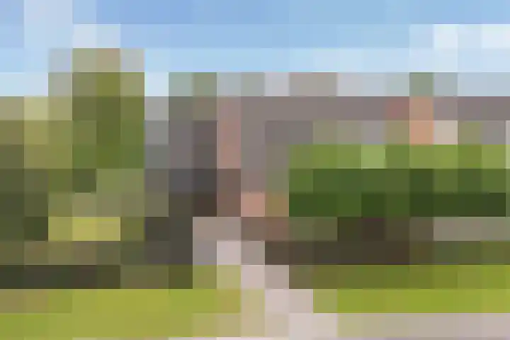 Sânbuorren 12 Oudega thumbnail 83