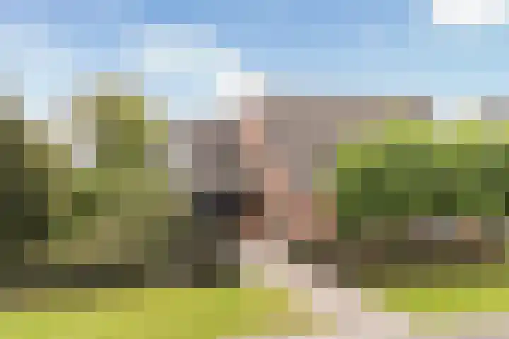 Sânbuorren 12 Oudega thumbnail 84