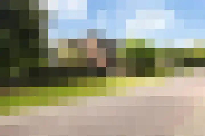 Sânbuorren 12 Oudega thumbnail 85