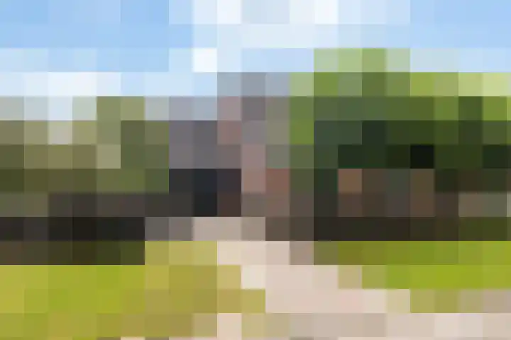 Sânbuorren 12 Oudega thumbnail 86