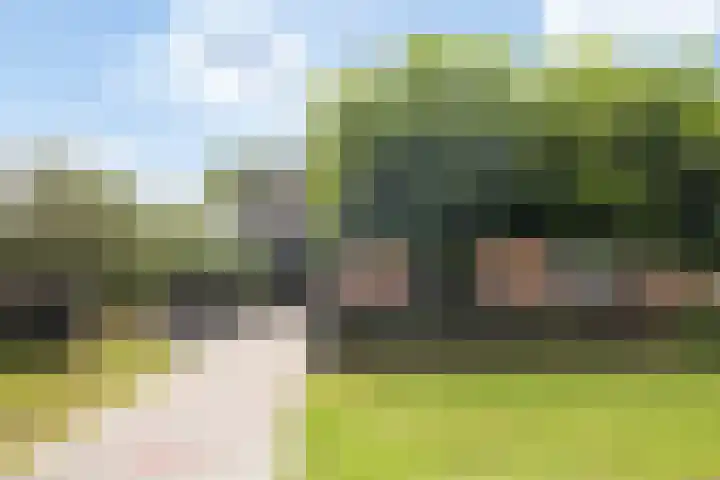 Sânbuorren 12 Oudega thumbnail 87