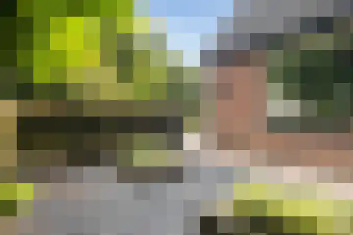 Sânbuorren 12 Oudega thumbnail 88
