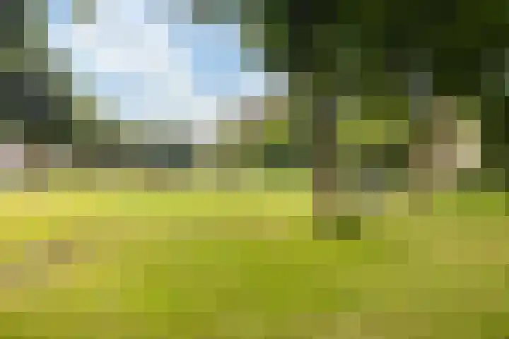 Sânbuorren 12 Oudega thumbnail 89