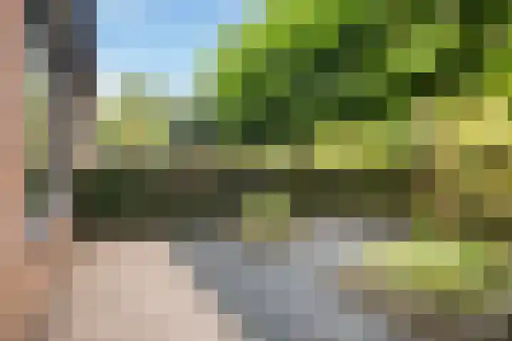 Sânbuorren 12 Oudega thumbnail 9