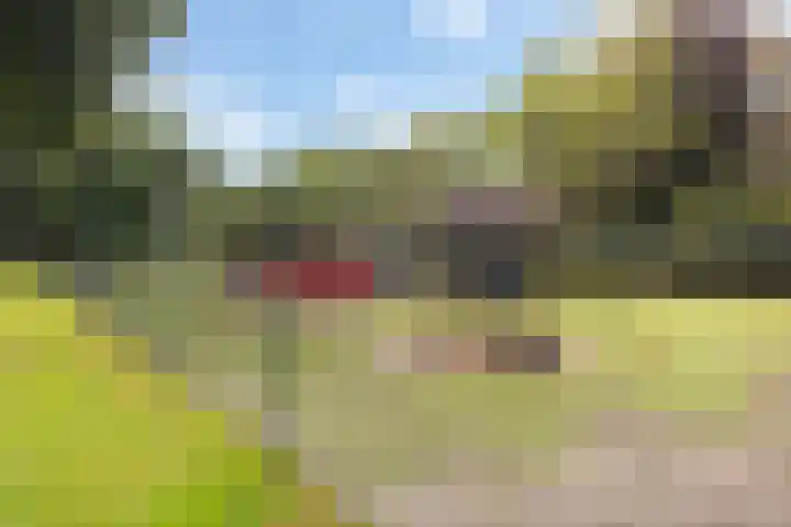 Sânbuorren 12 Oudega thumbnail 90