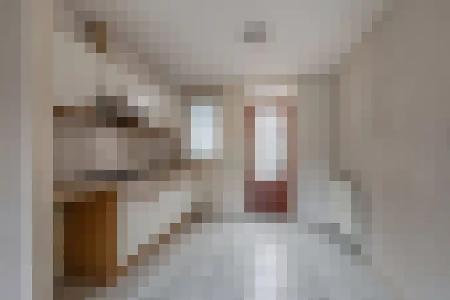 Sânbuorren 4 Oudega thumbnail 12