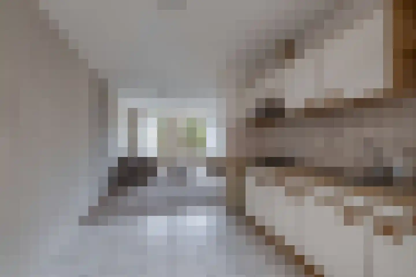 Sânbuorren 4 Oudega thumbnail 13