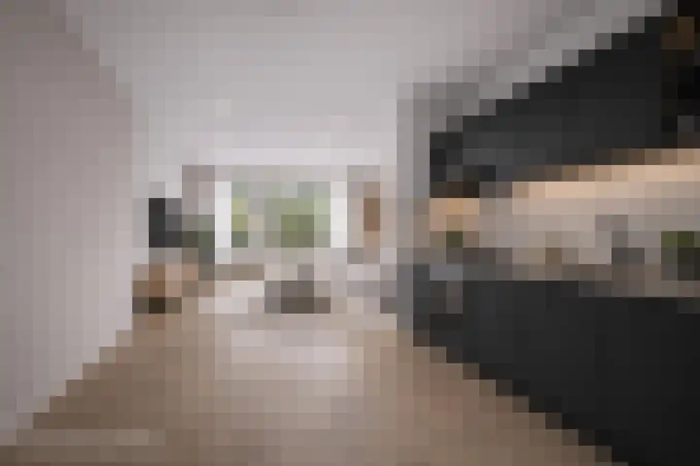 Sânbuorren 4 Oudega thumbnail 14