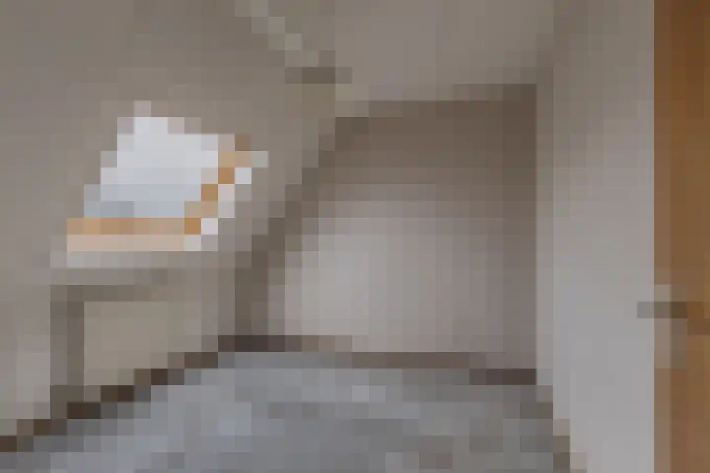 Sânbuorren 4 Oudega thumbnail 20