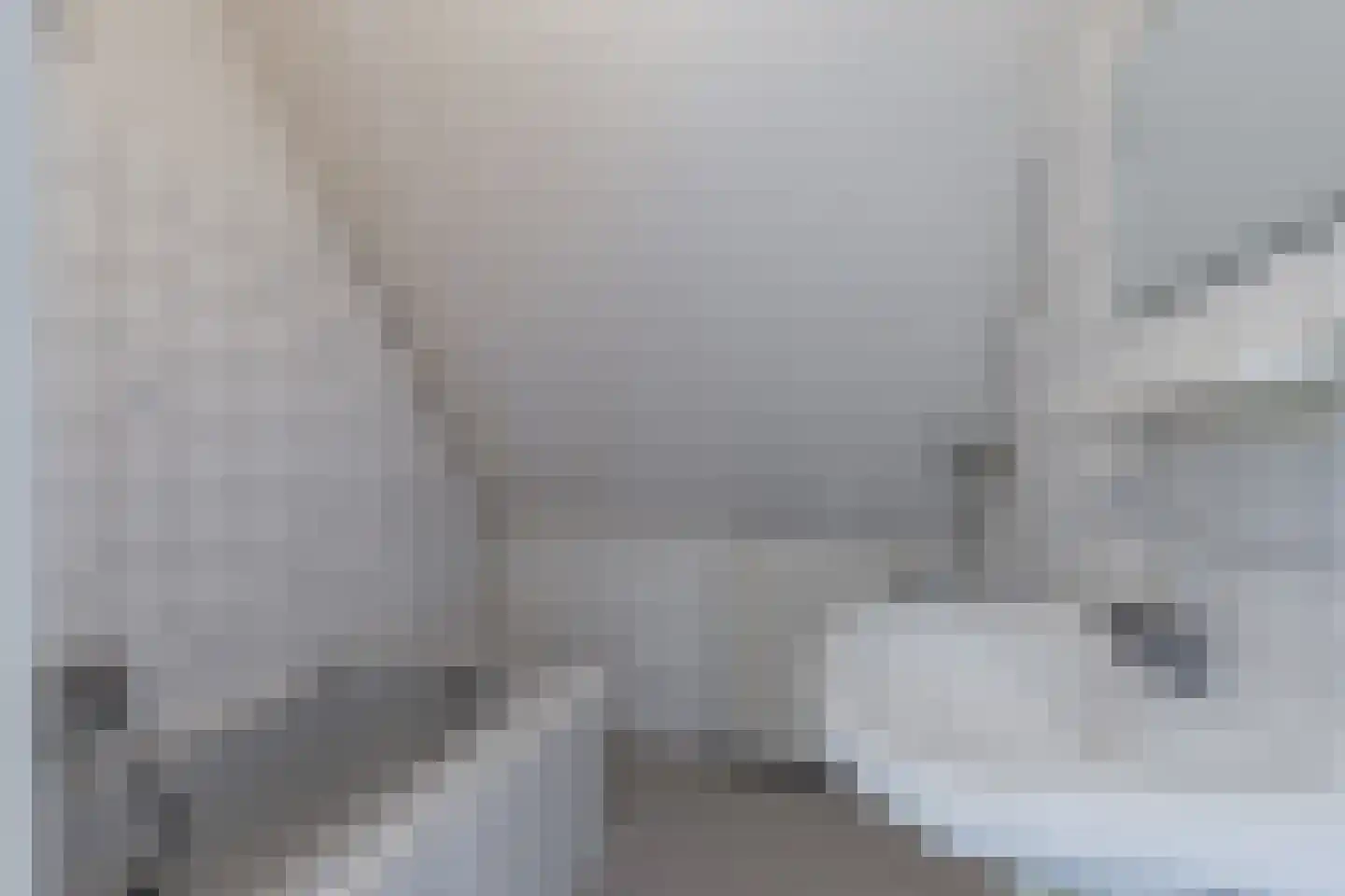 Sânbuorren 4 Oudega thumbnail 21