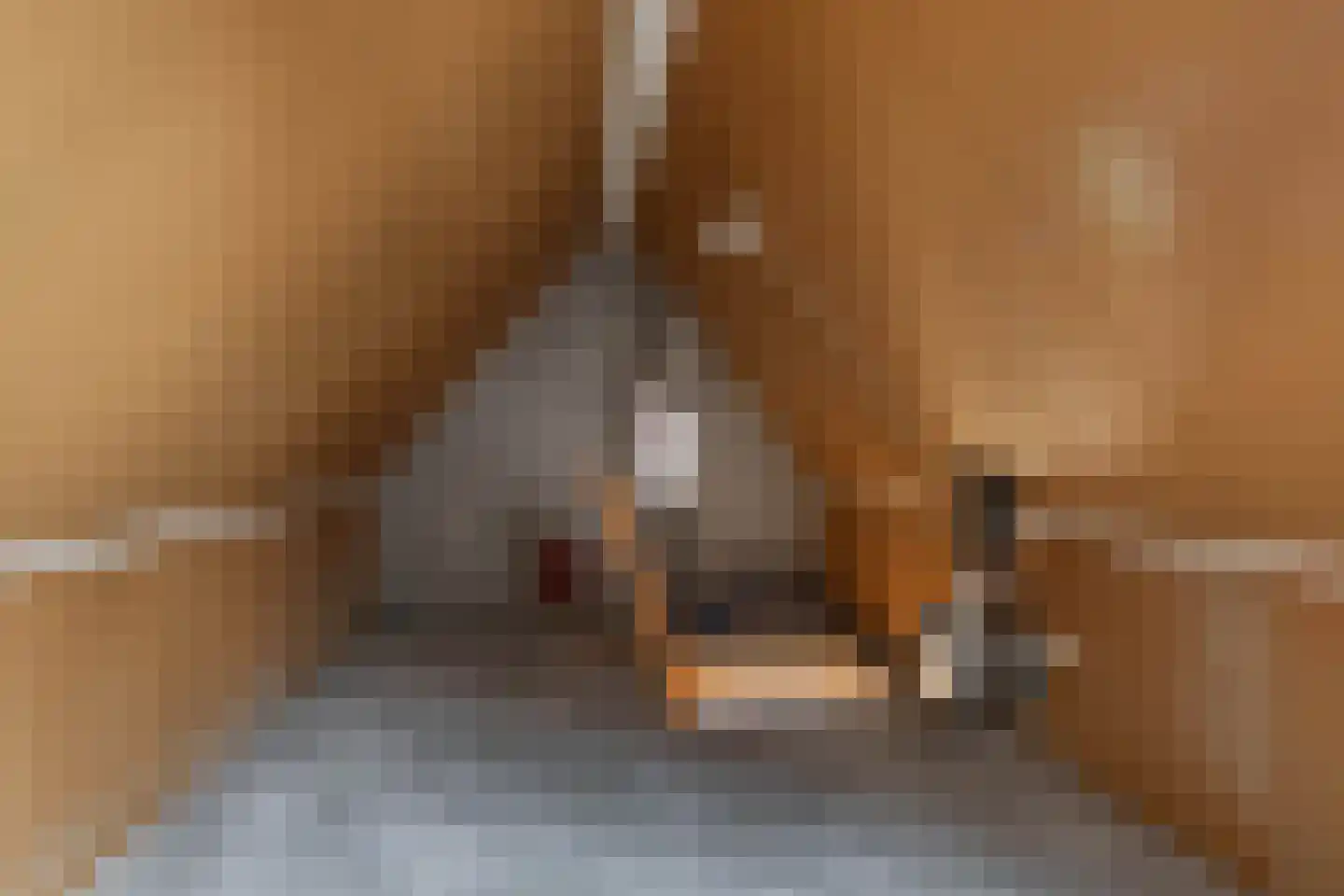 Sânbuorren 4 Oudega thumbnail 22