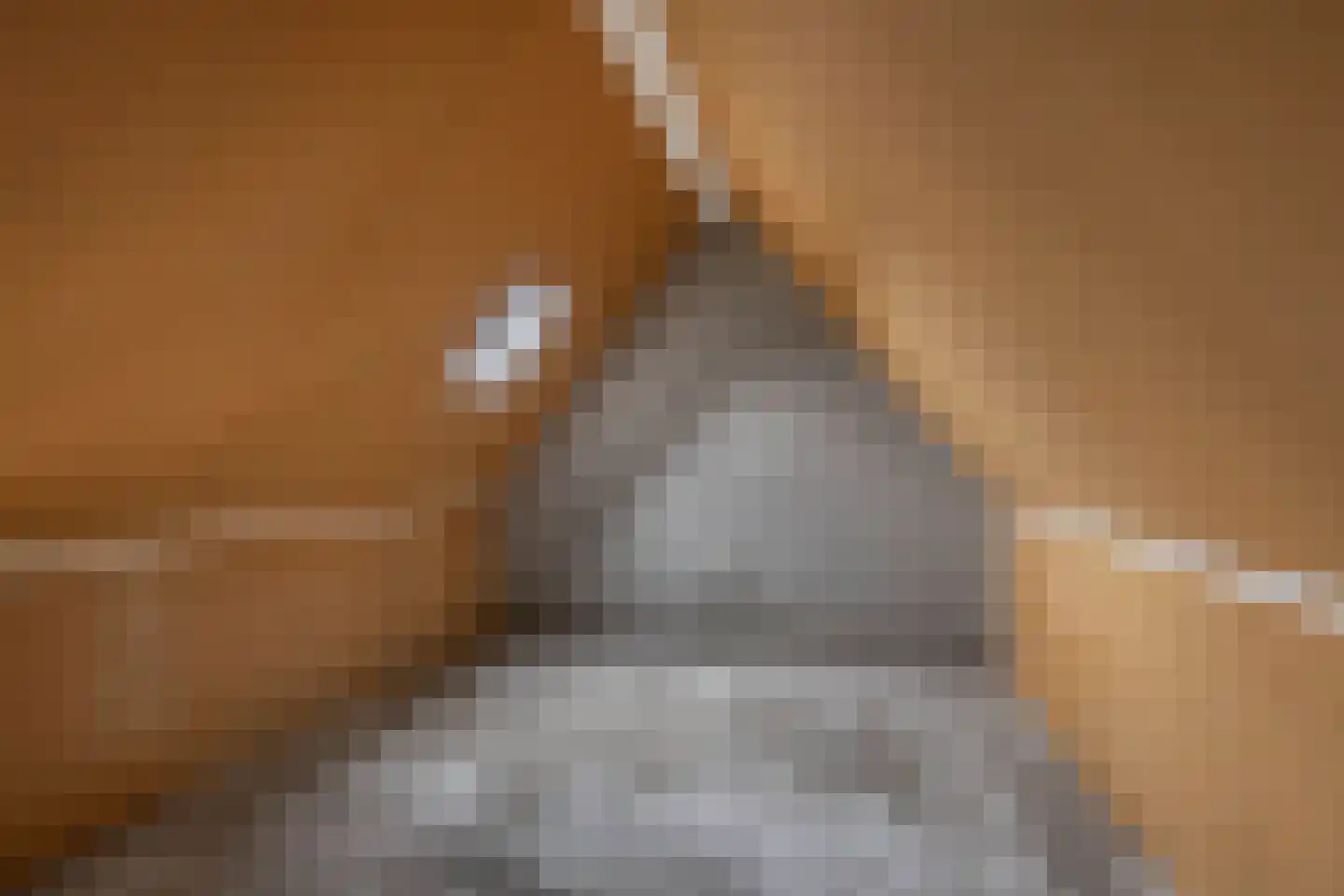 Sânbuorren 4 Oudega thumbnail 23