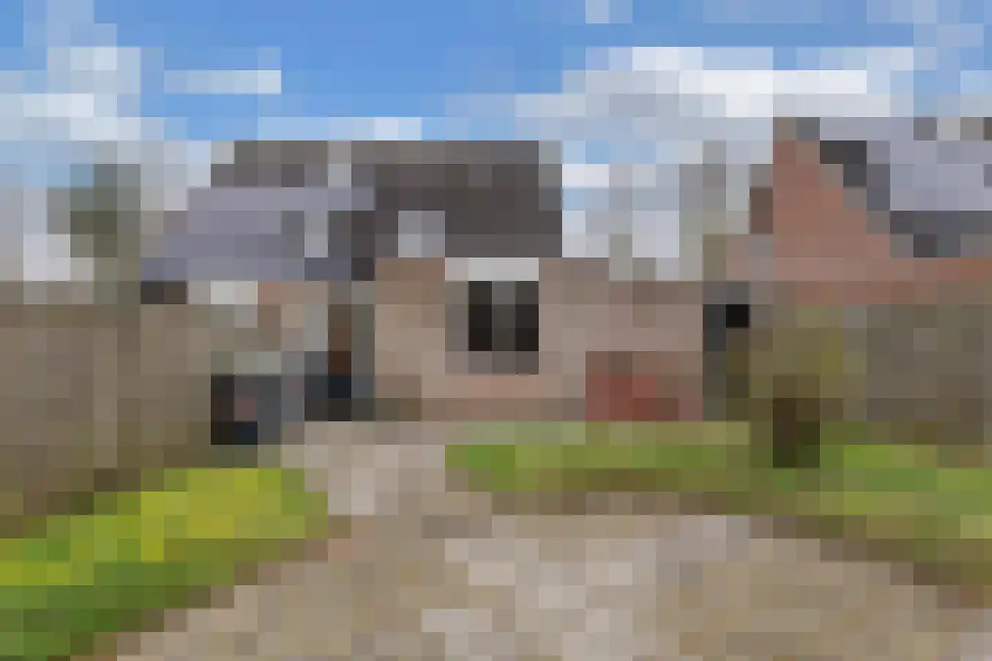 Sânbuorren 4 Oudega thumbnail 26