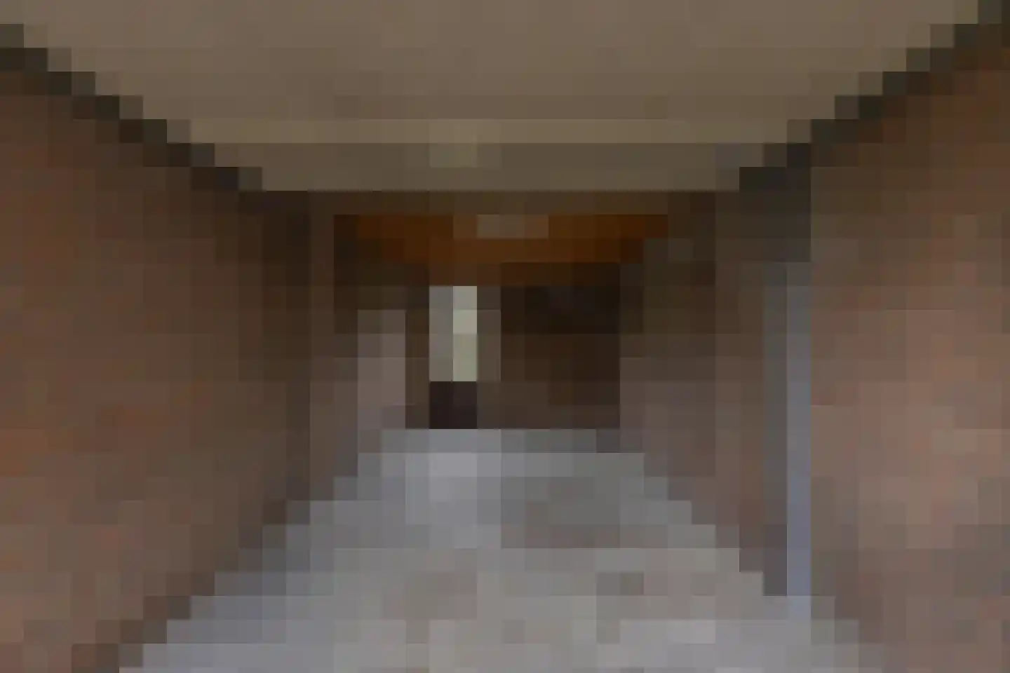 Sânbuorren 4 Oudega thumbnail 28