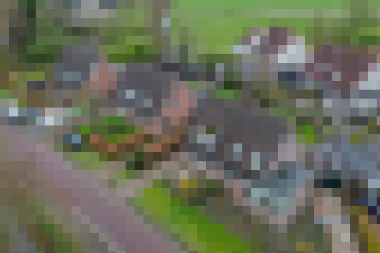 Sânbuorren 4 Oudega thumbnail 4