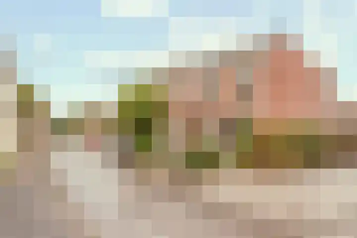 Sand-Ambachtstraat 105 's-Gravenzande thumbnail 4