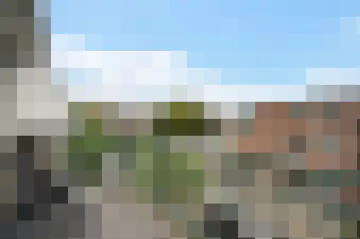 Sand-Ambachtstraat 156 's-Gravenzande thumbnail 18