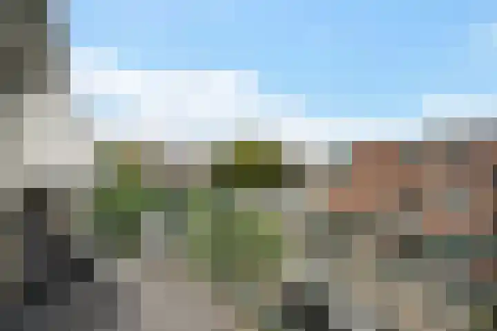 Sand-Ambachtstraat 156 's-Gravenzande thumbnail 4