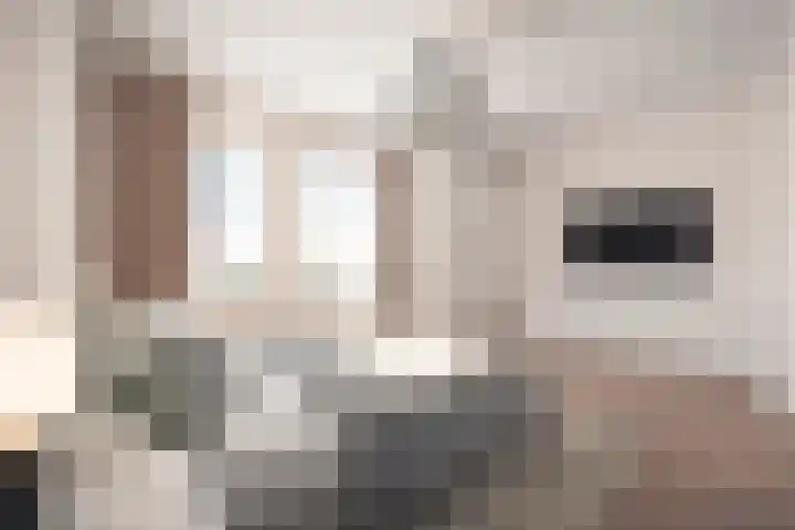 Sand-Ambachtstraat 84 's-Gravenzande thumbnail 8
