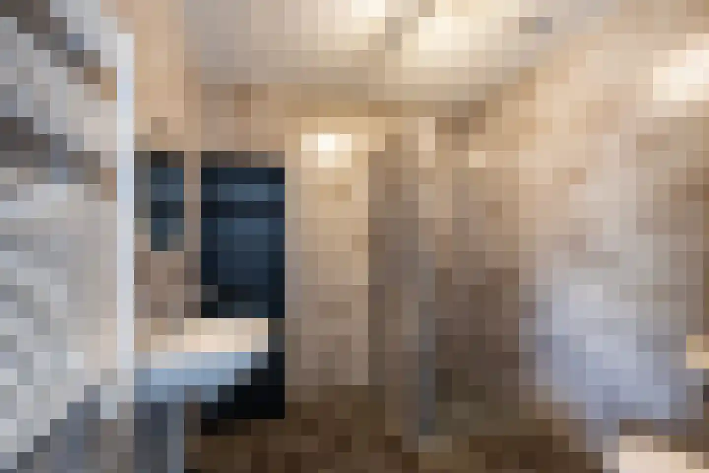 Sand-Ambachtstraat 87 's-Gravenzande thumbnail 5