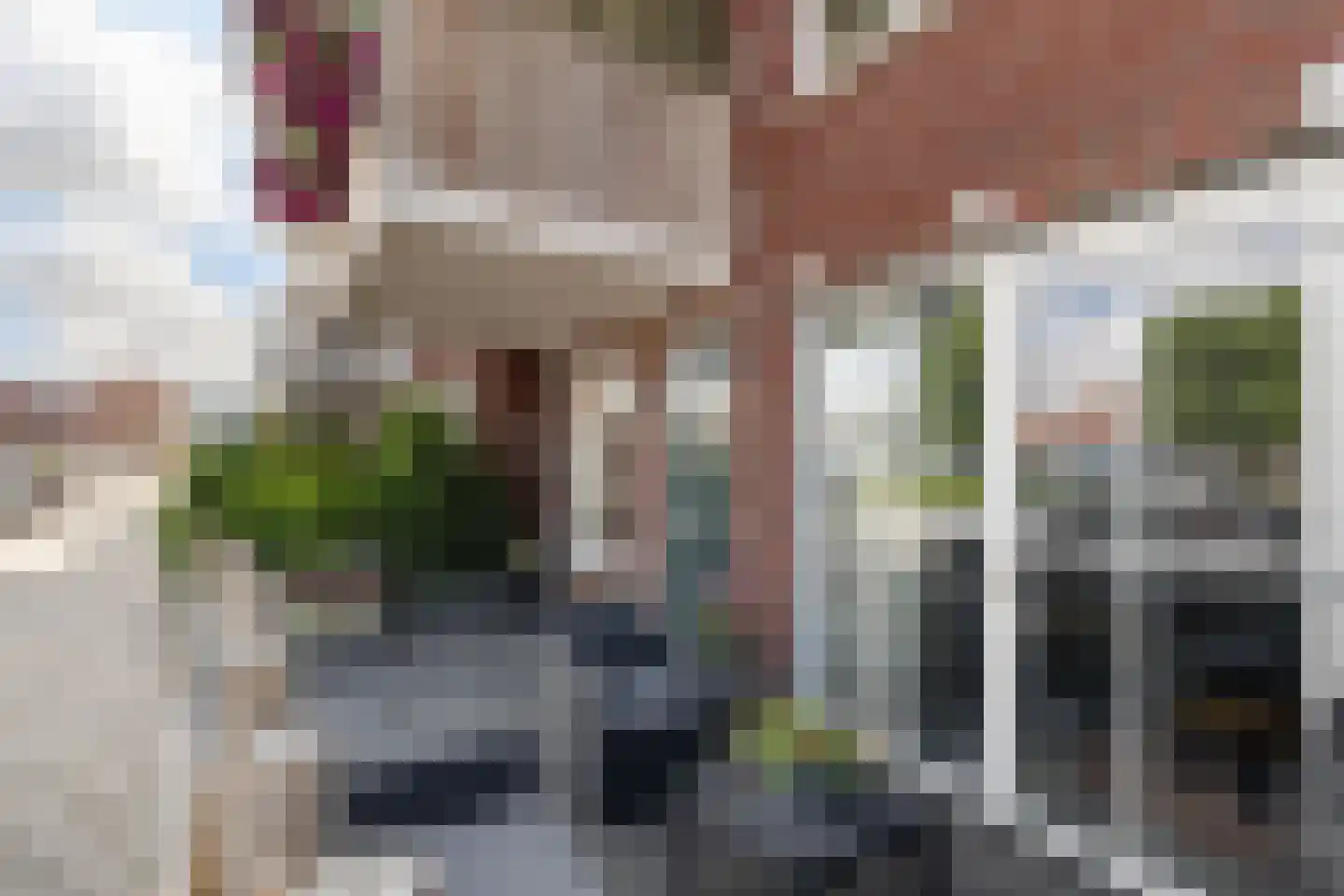 Sand-Ambachtstraat 87 's-Gravenzande thumbnail 8