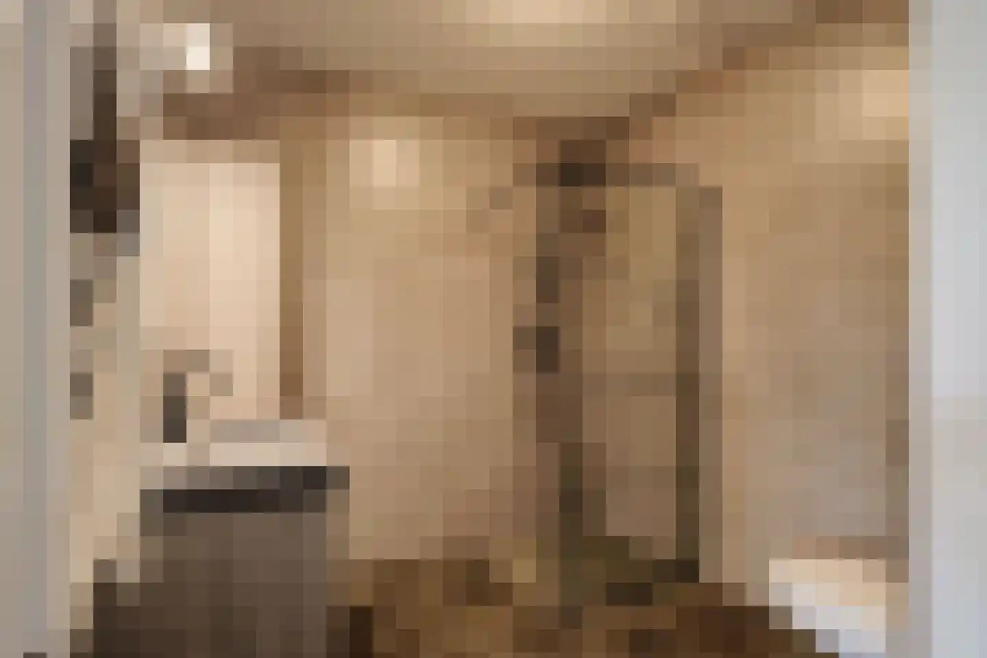 Sand-Ambachtstraat 89 's-Gravenzande thumbnail 11