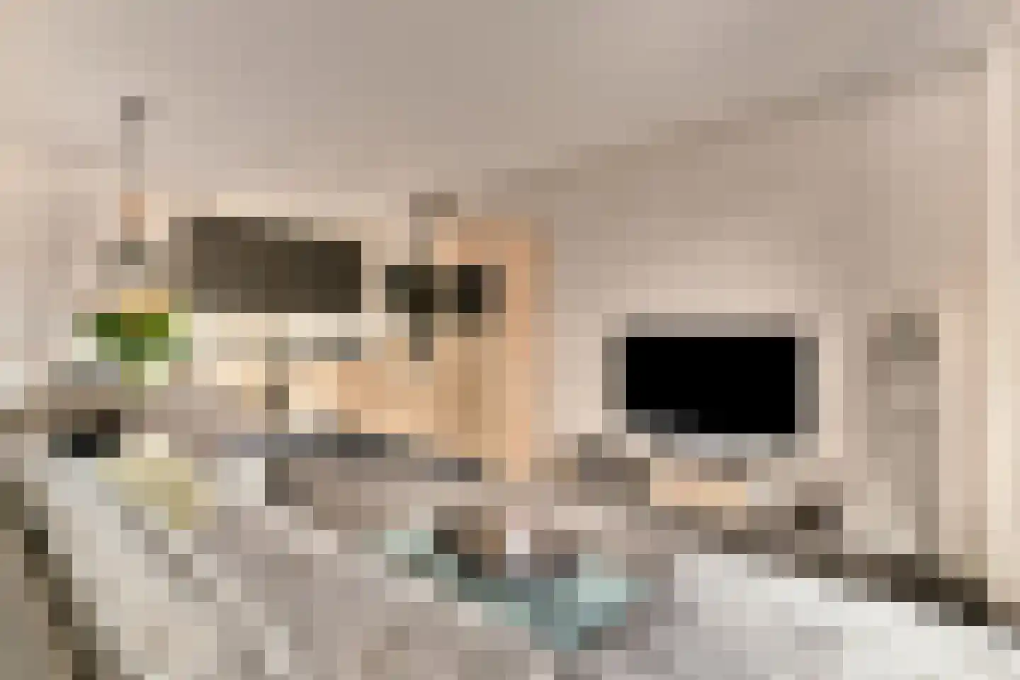 Sand-Ambachtstraat 89 's-Gravenzande thumbnail 4