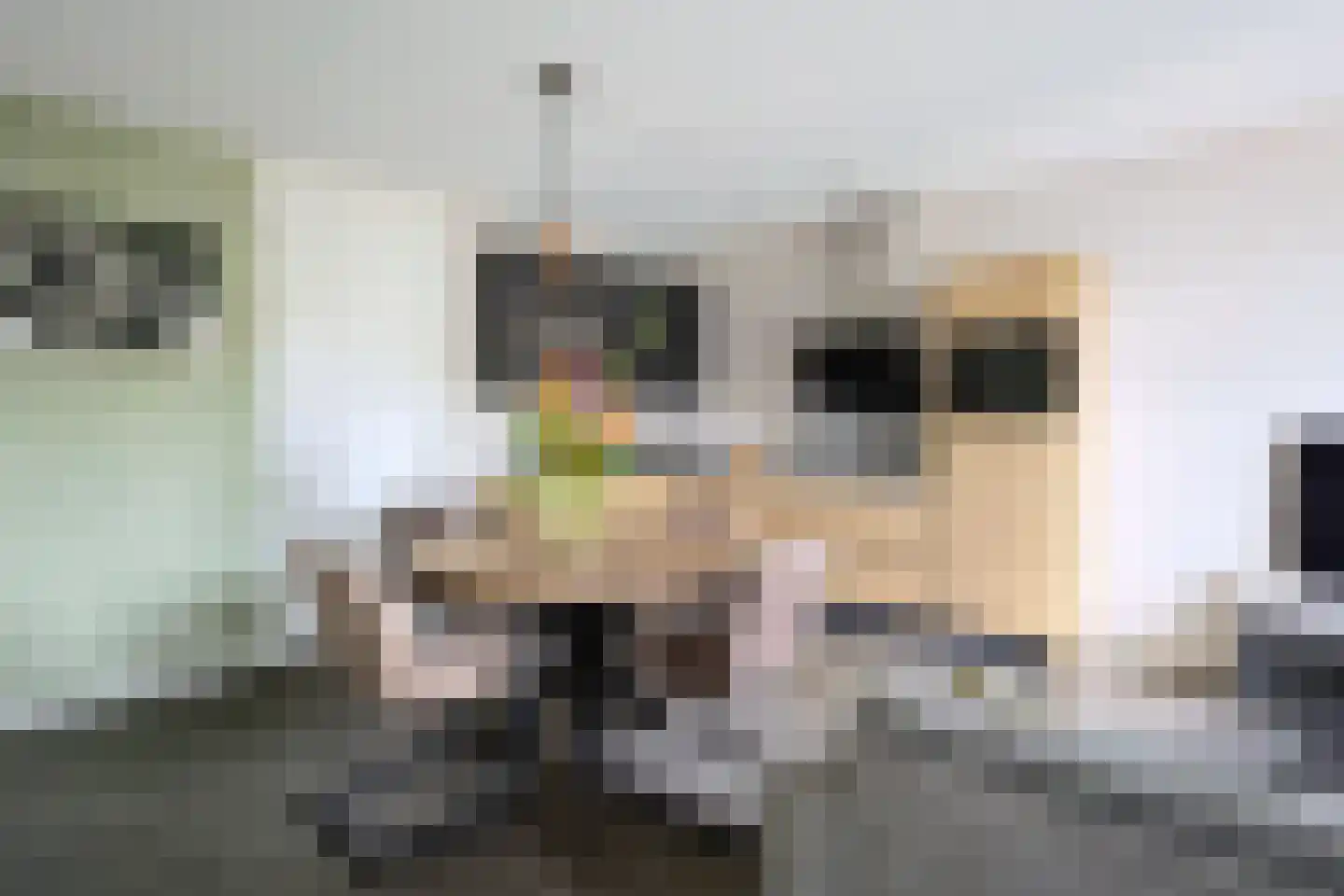 Sand-Ambachtstraat 89 's-Gravenzande thumbnail 7