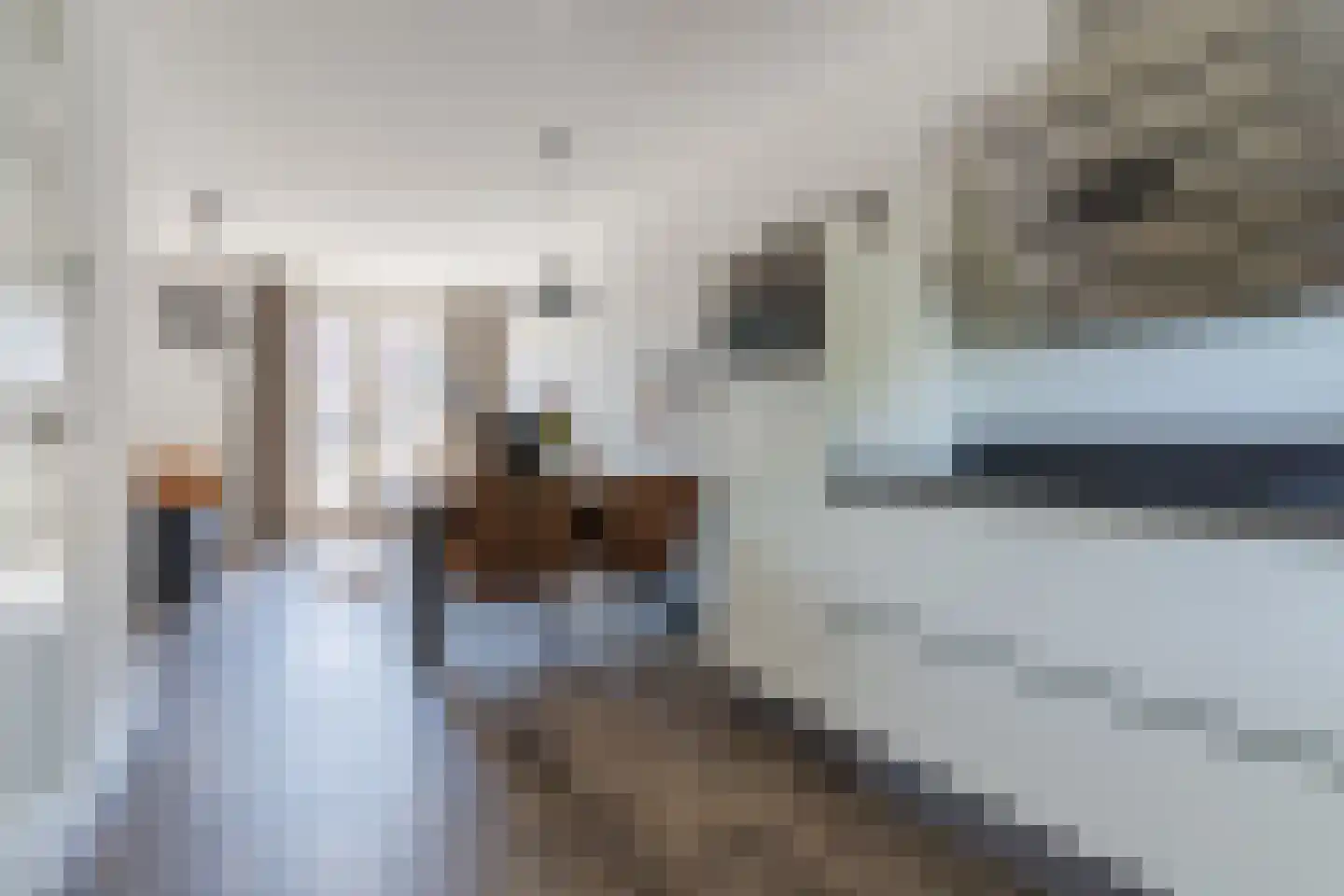 Sandakker 3 Duizel thumbnail 16