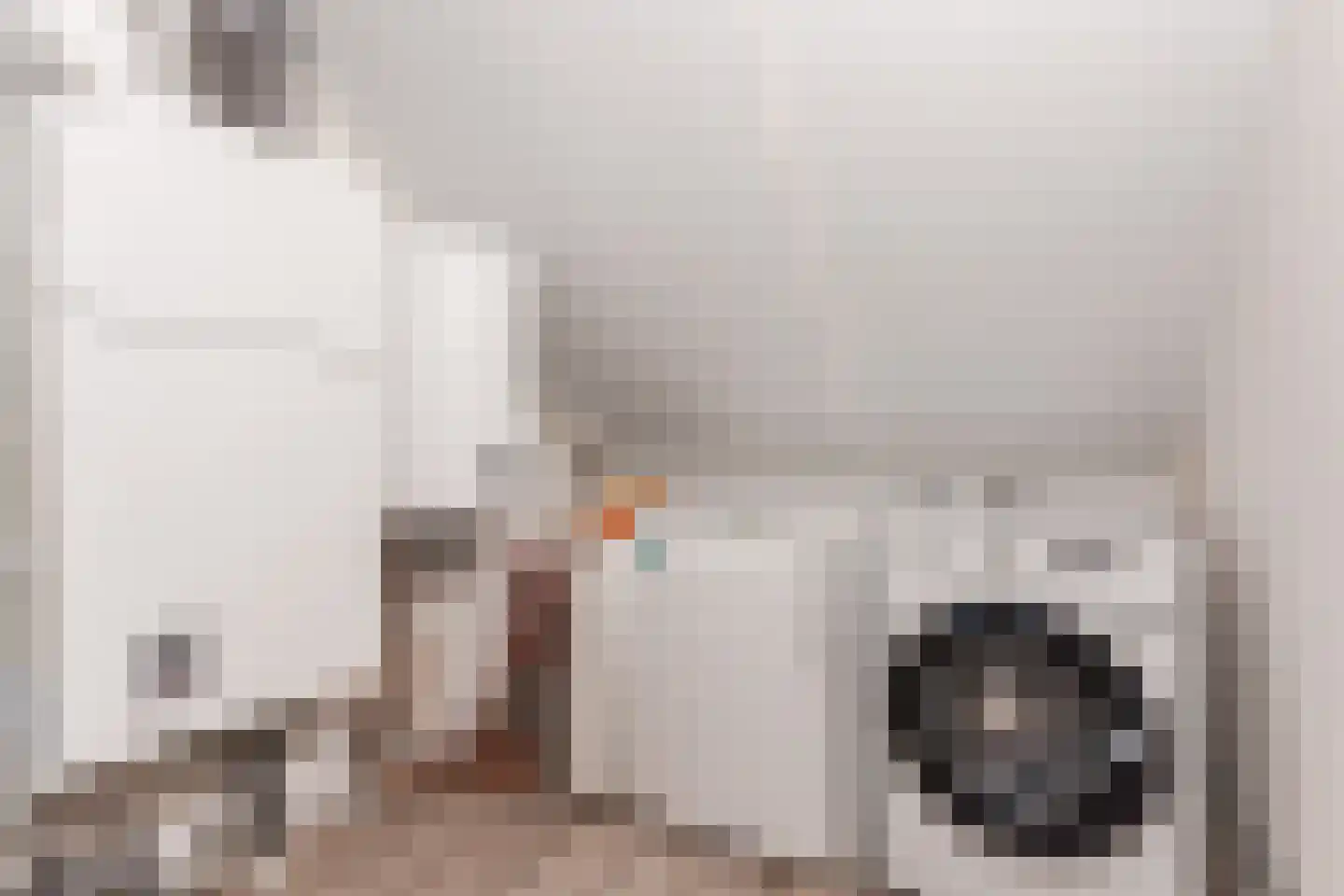 Sandakker 3 Duizel thumbnail 29