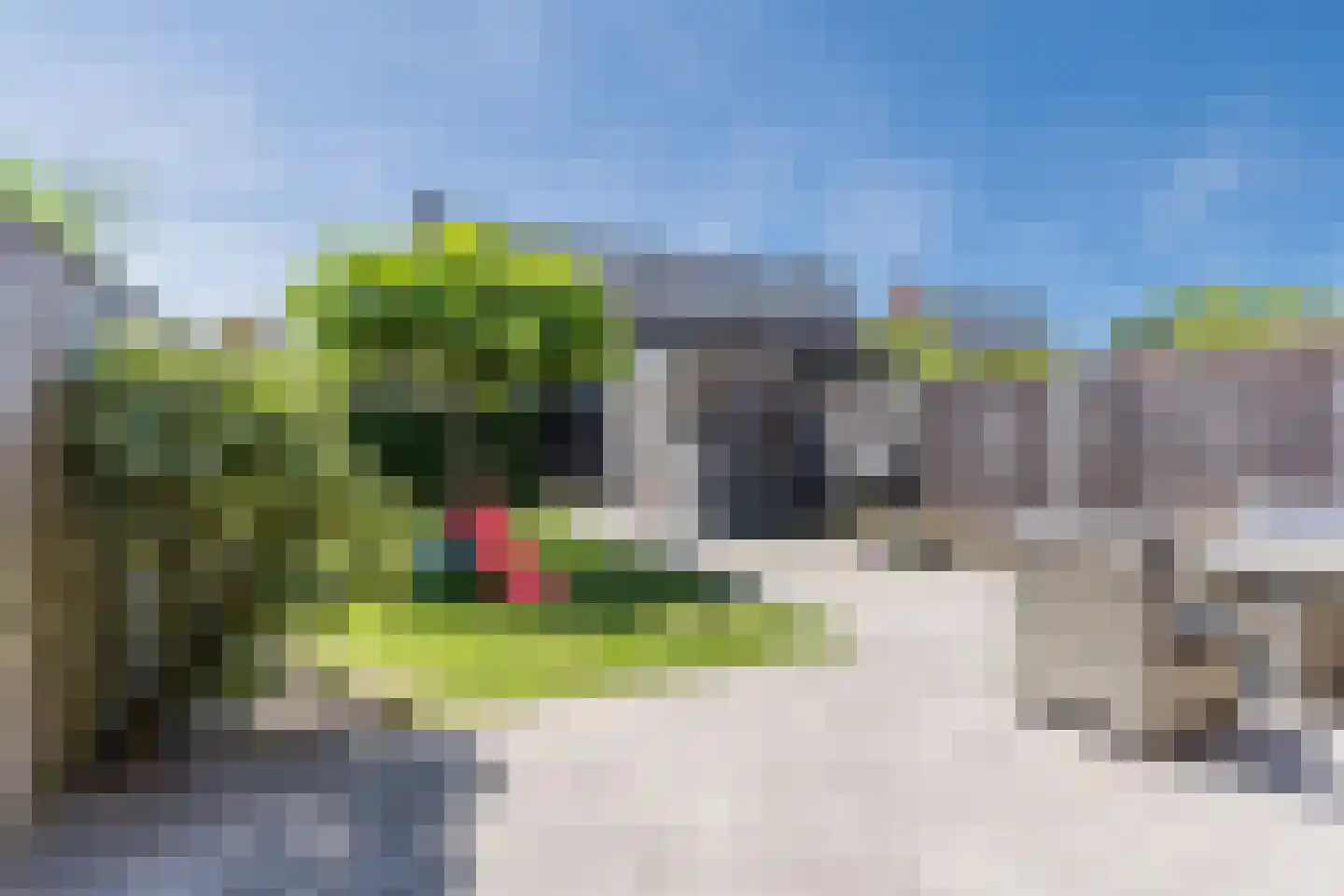 Sandakker 3 Duizel thumbnail 30
