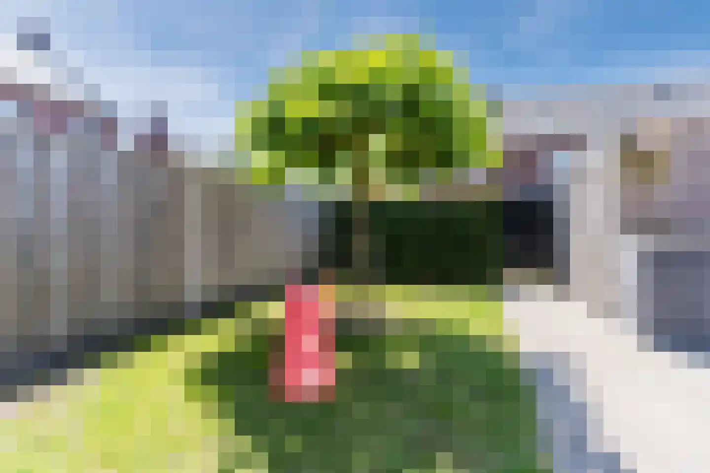 Sandakker 3 Duizel thumbnail 33
