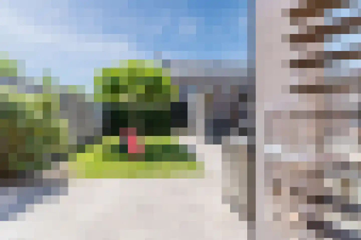 Sandakker 3 Duizel thumbnail 37