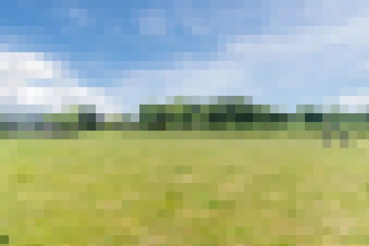 Sandakker 3 Duizel thumbnail 40