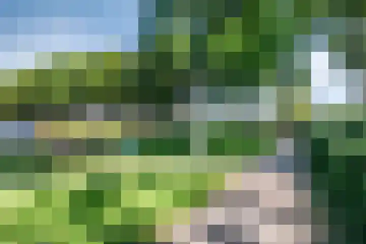 Sandefjord 19 Klundert thumbnail 35