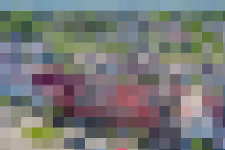Sandefjord 19 Klundert thumbnail 37