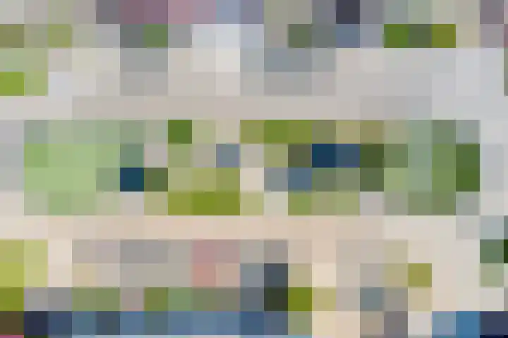 Sandefjord 19 Klundert thumbnail 39