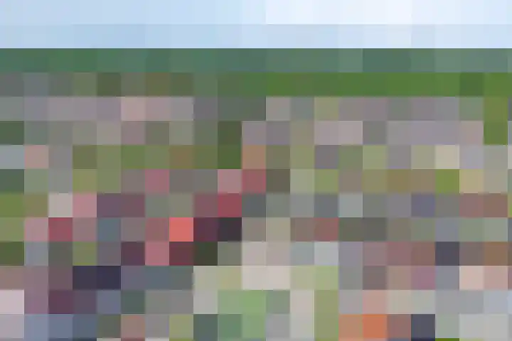 Sandefjord 19 Klundert thumbnail 44