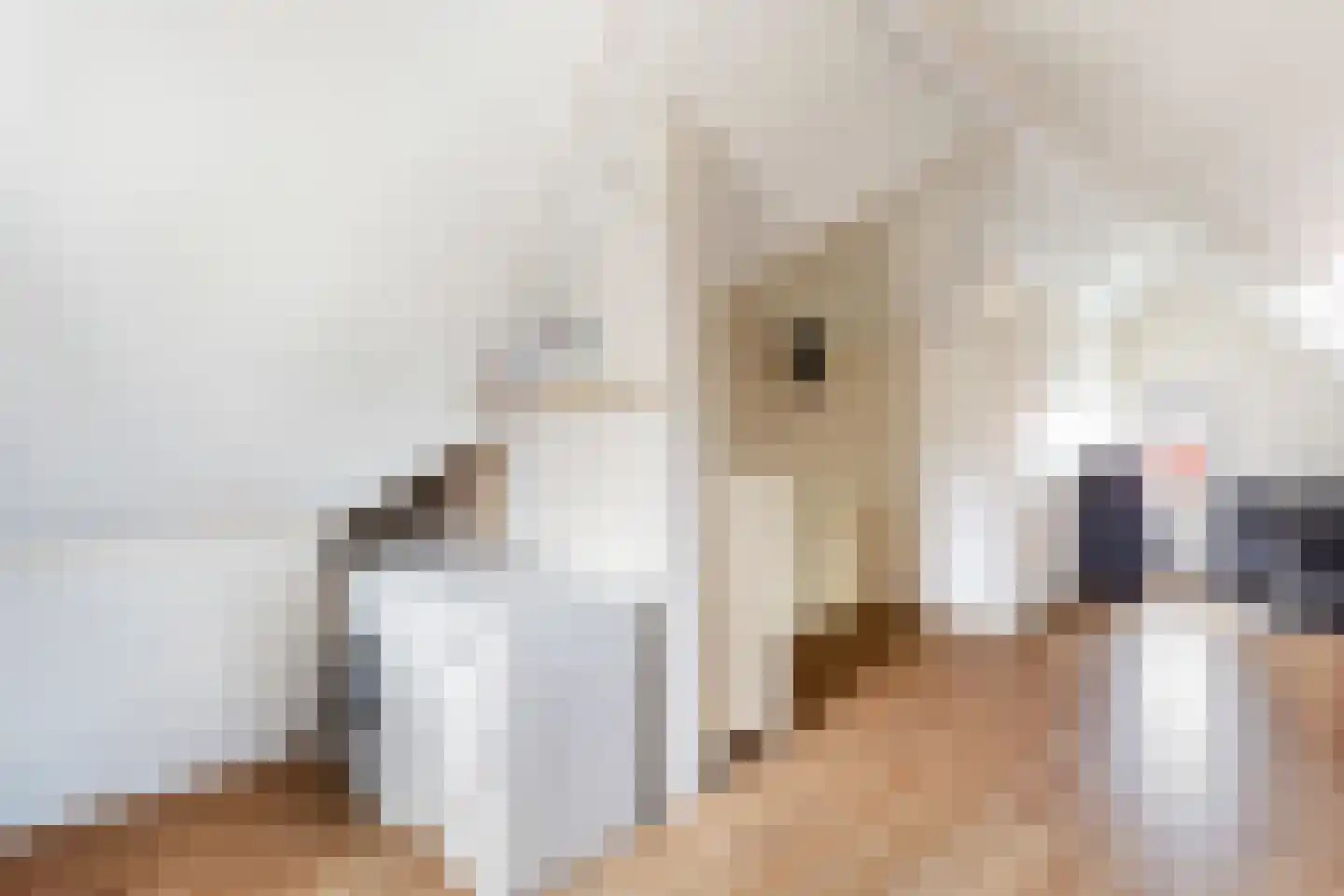 Sandefjord 31 Klundert thumbnail 38