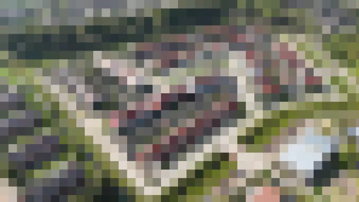 Sandefjord 31 Klundert thumbnail 56