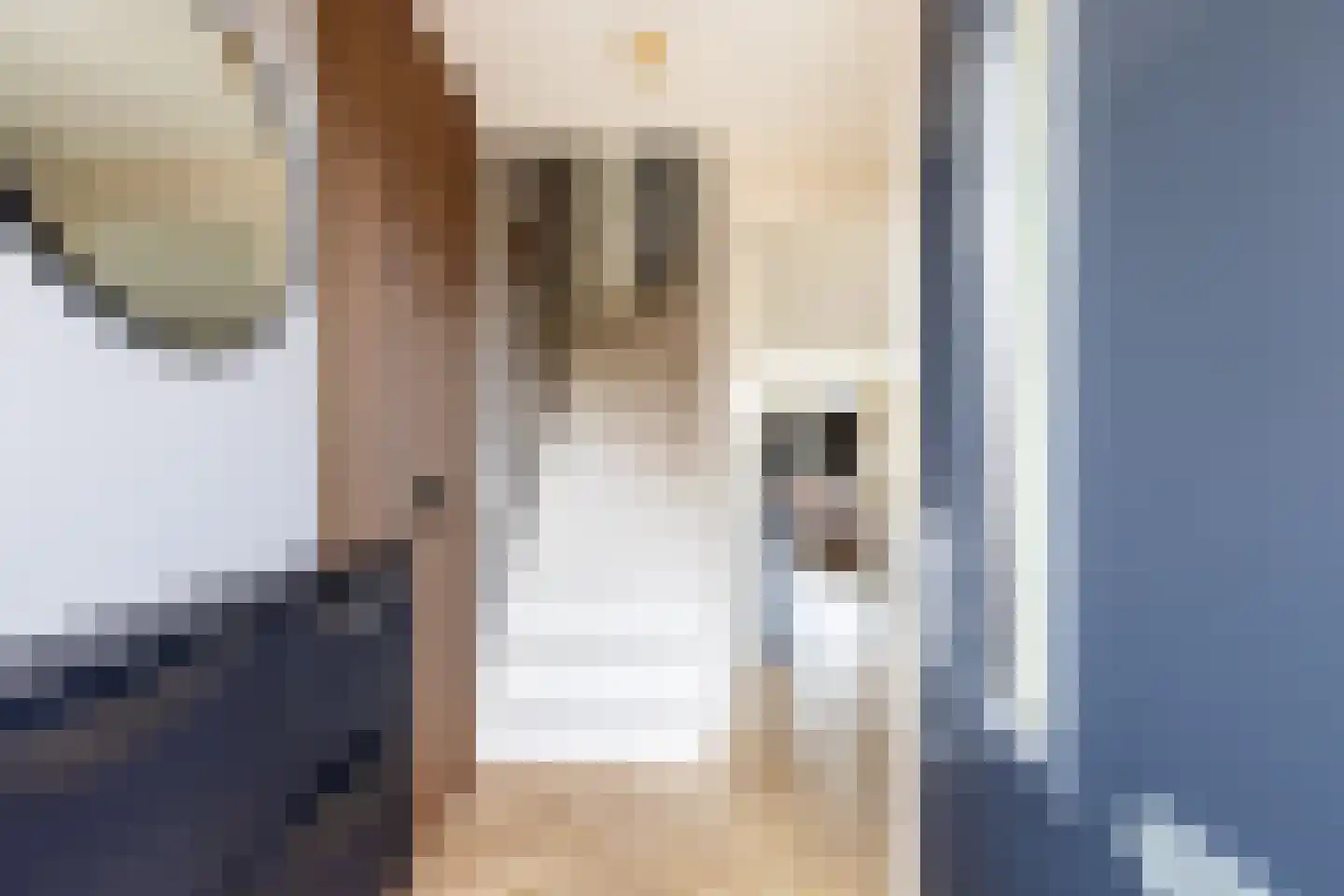 Sandefjord 31 Klundert thumbnail 8