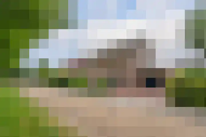Sandelhout 10 Assen thumbnail 10