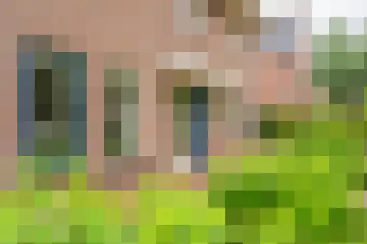 Sandelhout 10 Assen thumbnail 14