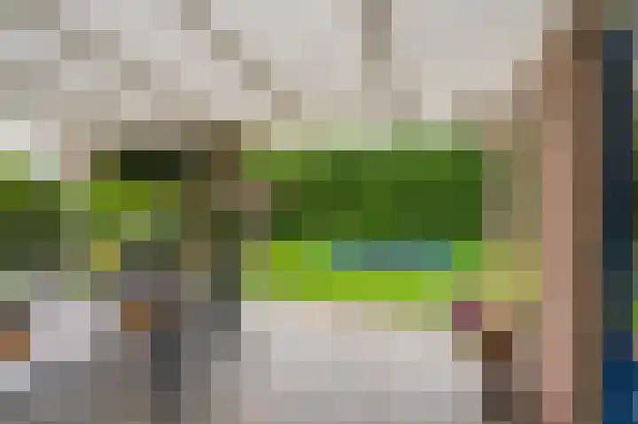 Sandelhout 10 Assen thumbnail 4