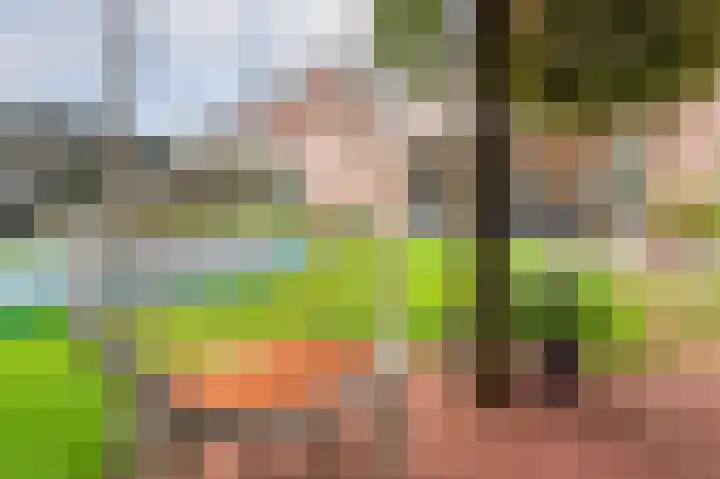 Sandelhout 10 Assen thumbnail 56