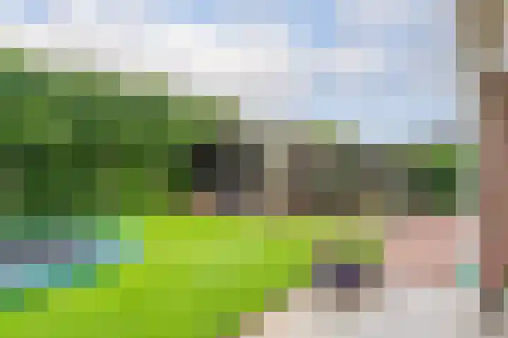 Sandelhout 10 Assen thumbnail 57