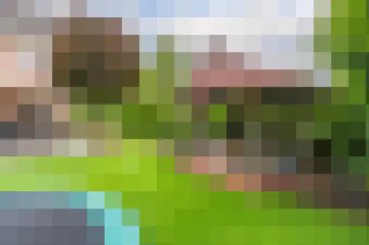 Sandelhout 10 Assen thumbnail 58