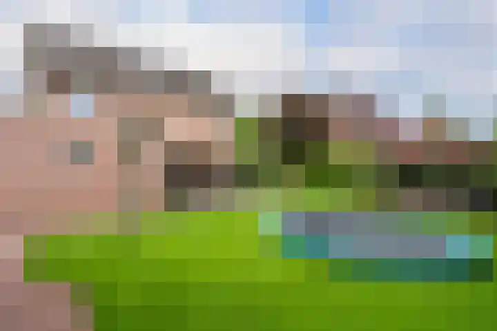 Sandelhout 10 Assen thumbnail 62